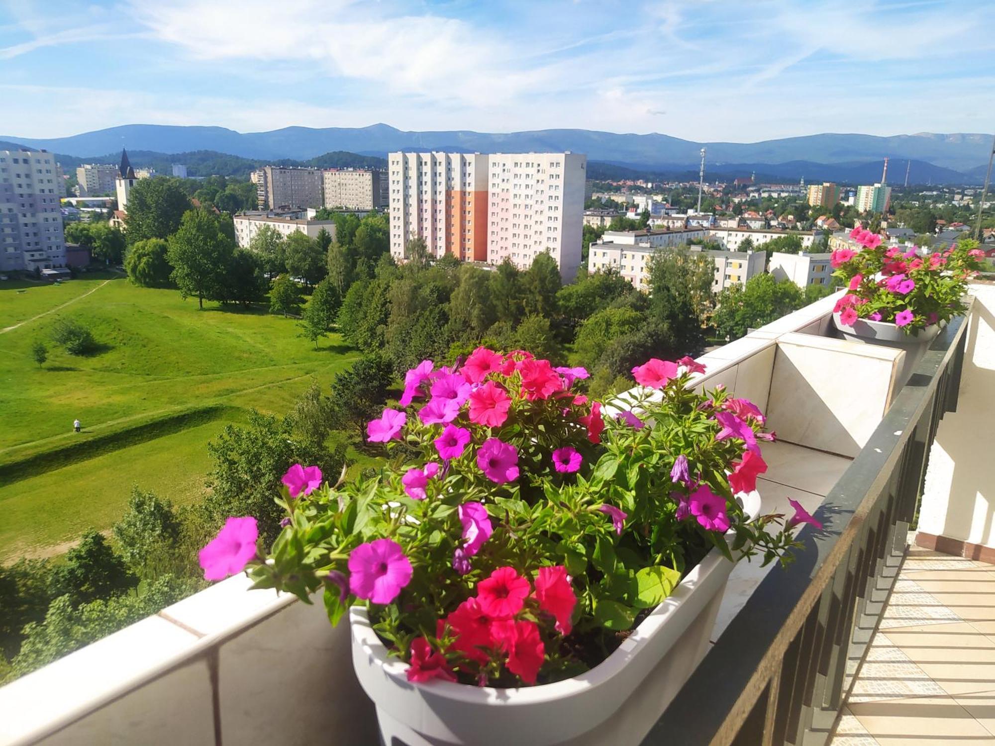 Apartament Z Widokiem Na Sniezke Єленя-Ґура Екстер'єр фото
